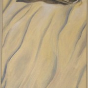 Img_1668_card