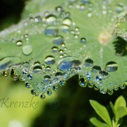 Dsc_0066_card