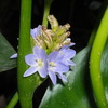 Dscn1232_thumb