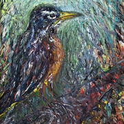 Robin_card