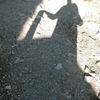 On_nietzsche_s_path_thumb
