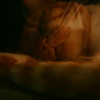 Imagen_392_thumb