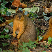 Dsc03573a_card