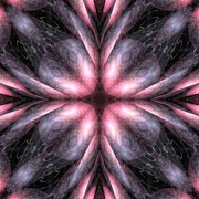 Kalulead__16_card
