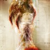 Schizofrenia666_thumb
