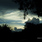 Phot0525_card