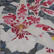 Img_1688_card