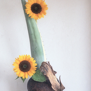 Ikebana-025_card