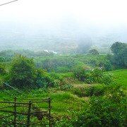 Dsc06994_card