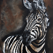 Zebra_safari_card