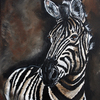 Zebra_safari_thumb