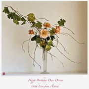 Dorina_card