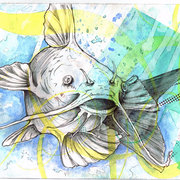 Catfish_by_mikeecrash_card