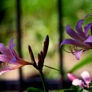 Img_6518ab_card