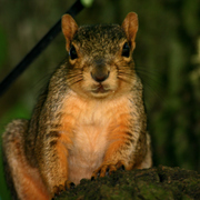 Img_6521ab_card