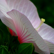 Dsc03612ab_card