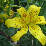 Img_0674_card