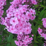 Img_0675_card