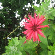 Img_0681_card