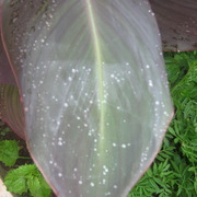 Img_0684_card