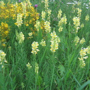 Img_0687_card