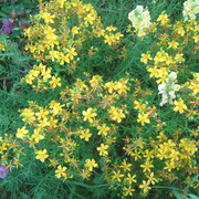 Img_0688_card