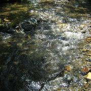 Img_0714_card