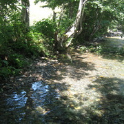 Img_0715_card