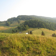 Img_0750_card