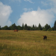 Img_0754_card