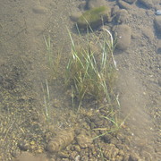 Img_0658_card