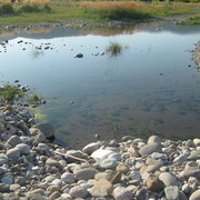 Img_0652_card