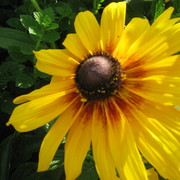 Img_0596_card