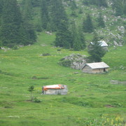 Img_0587_card
