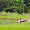 H1936_072809_web_wm_thumb