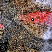 11x_071_card