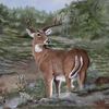 Russells_paintings_and_photo_s_003_thumb