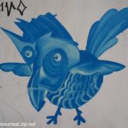 Graffiti010809-02-galo_card