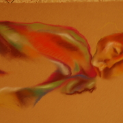 Dsc_0141_card