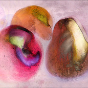 Apple_pears_card