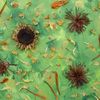 Spring_1_thumb