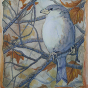 Mockingbird_card