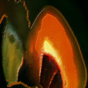 Cm4548_card