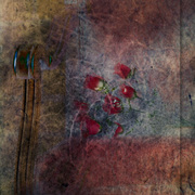 Roses_for_dad_card