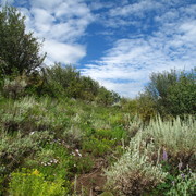 Img_1530_card