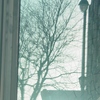 Mixed_from_the_mansion_086_thumb