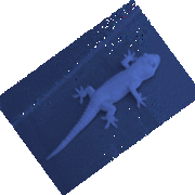 Image002_card