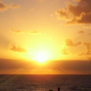 Image001_card