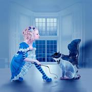 Alice_card