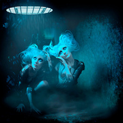 Catacomb-kittens_card